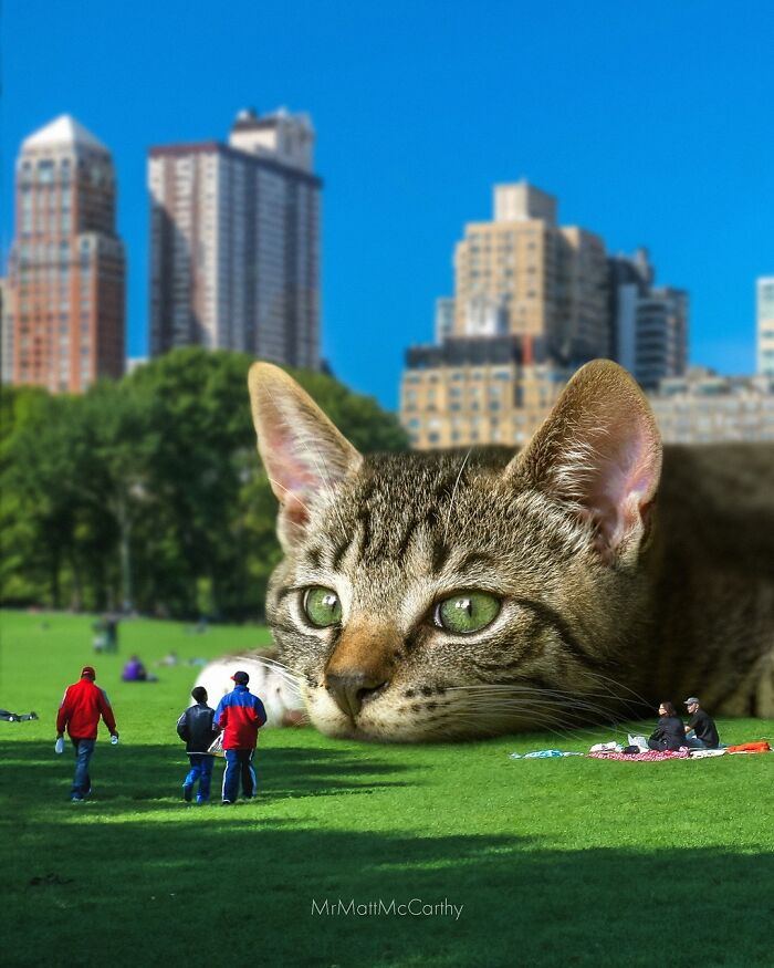 Giant cat lounging in a city park, dwarfing nearby people and buildings under a clear blue sky.