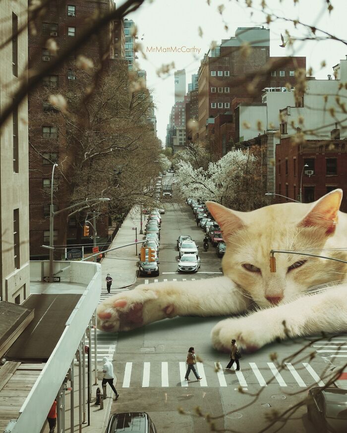 Giant cat lounging over a city street, showcasing an adorably unsettling world imagined by the artist.