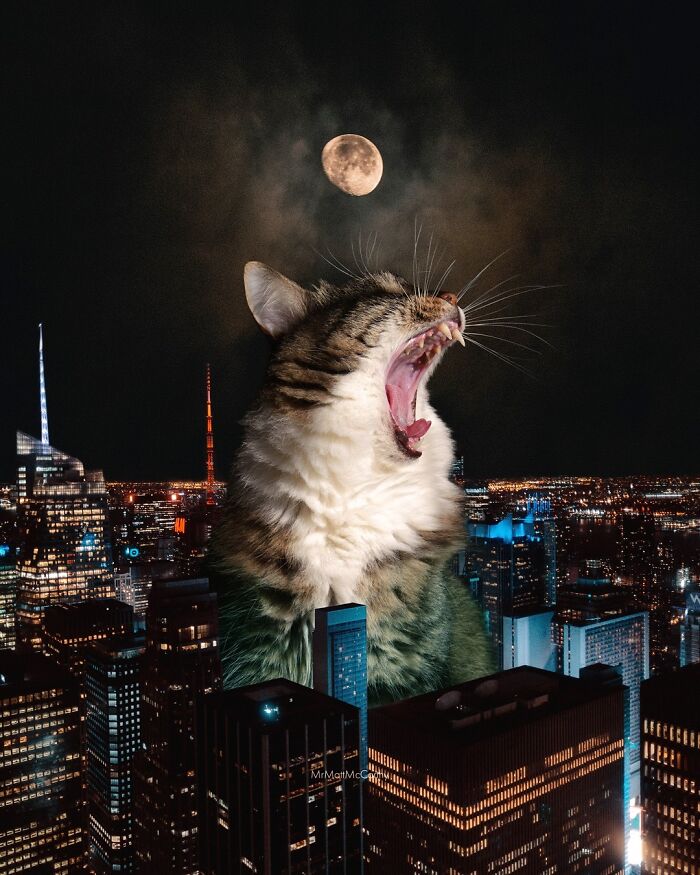 Giant cat art piece with a yawning feline towering over a cityscape, moon above.
