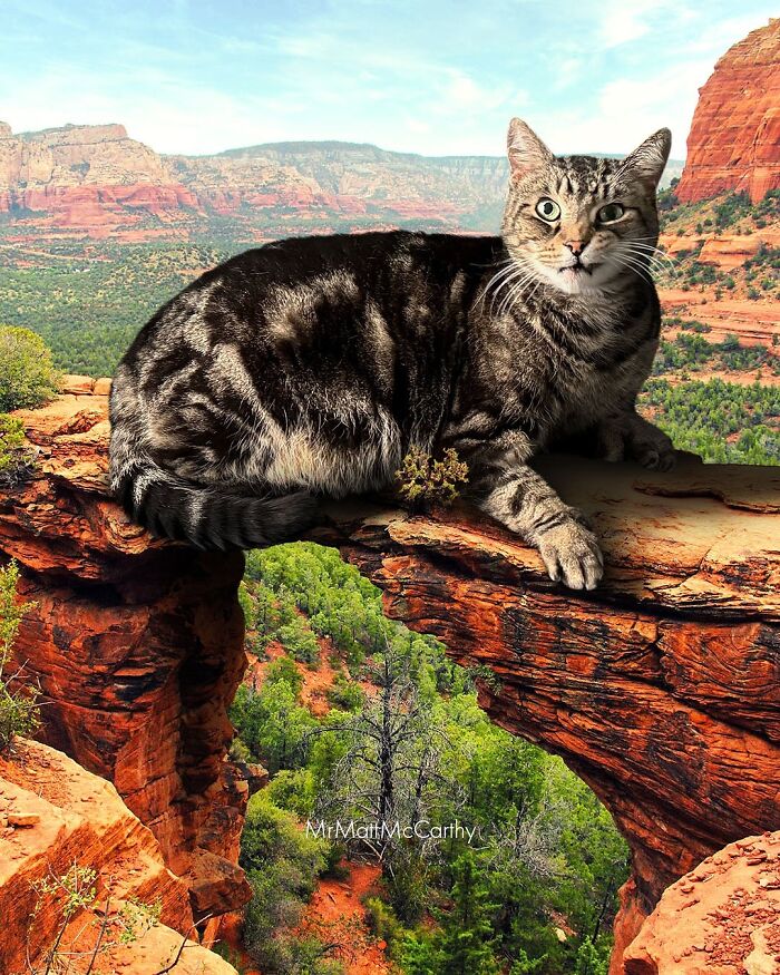 Giant cat lounging on a rocky arch in a scenic canyon, showcasing unsettling art of cats ruling the world.