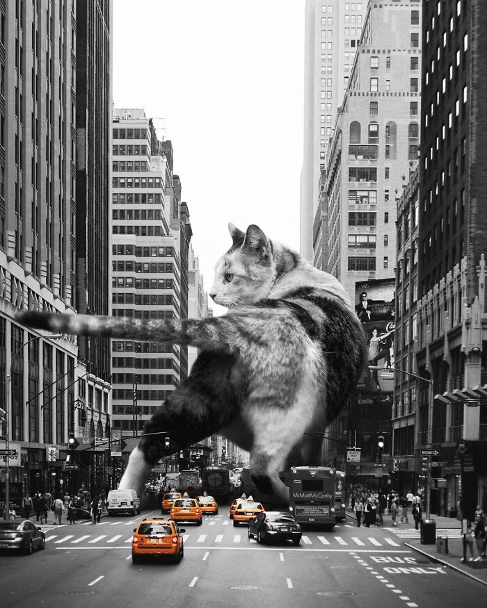 Giant cat art piece shows feline dominating cityscape with taxis and skyscrapers.