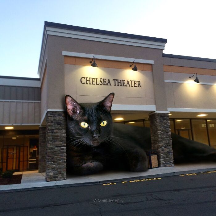 Giant cat lounging in front of the Chelsea Theater, showcasing unsettling art of cats ruling the world.