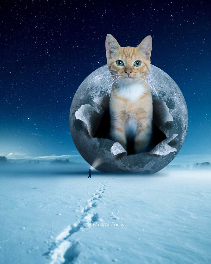Giant cat emerges from a c*****d moon, overseeing a snowy landscape under a starry sky.