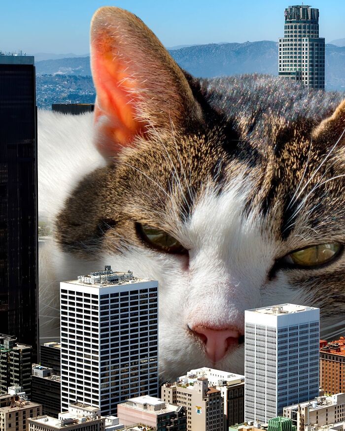 Giant cat looming over city skyscrapers, displaying an unsettling yet adorable scene.