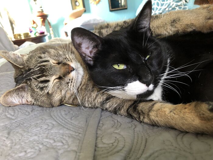 My Girls. They’re Good To Me. And Each Other!