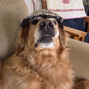 michael-lockard avatar