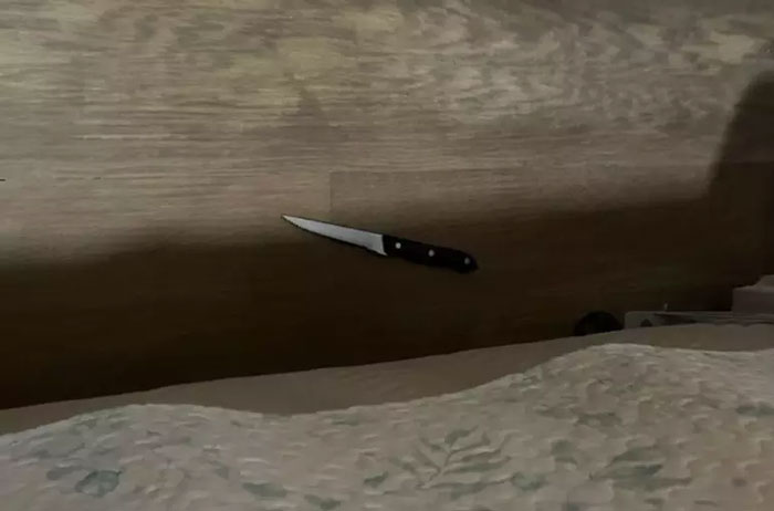 Knife on wooden floor near patterned fabric, related to a controversial domestic incident. Knife on wooden floor near patterned fabric, related to a controversial domestic incident.