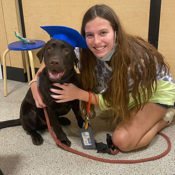 Young woman crouching next to Breuer, the Labrador, wearing a blue cap, smiling and holding his leash indoors. Young woman crouching next to Breuer, the Labrador, wearing a blue cap, smiling and holding his leash indoors.
