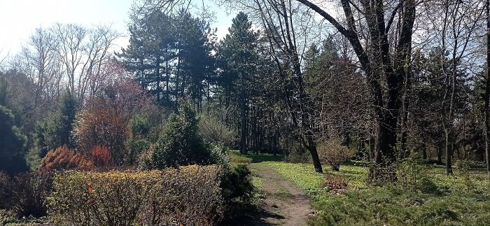 My Reflections On An Art Plein Air At The Dnipro Botanical Garden My Reflections On An Art Plein Air At The Dnipro Botanical Garden