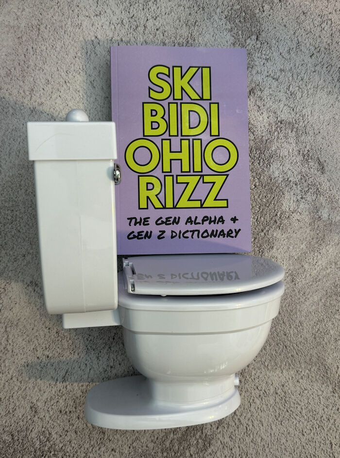 I Made This Funny Workbook-Style Book Called Skibidi Ohio Rizz I Made This Funny Workbook-Style Book Called Skibidi Ohio Rizz