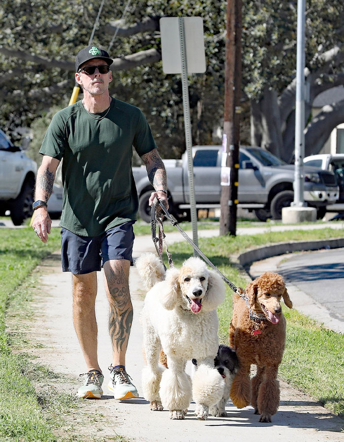 Person walking three poodles on a suburban sidewalk, wearing casual clothes and sunglasses, related to Weezer bassist news. Person walking three poodles on a suburban sidewalk, wearing casual clothes and sunglasses, related to Weezer bassist news.