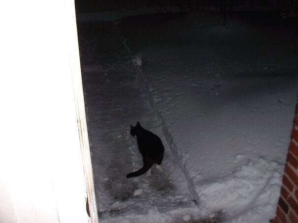 Shadow-in-the-Snow-3-02-17-03-67f4535eadcdc.jpg