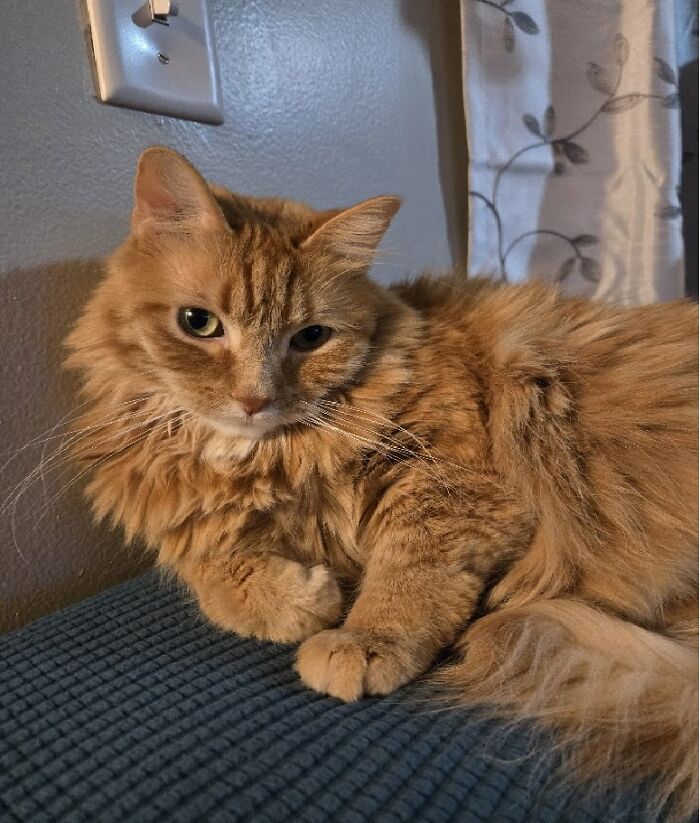 Snafu Hates Me...but He Hates Seeing Me Sad Even More