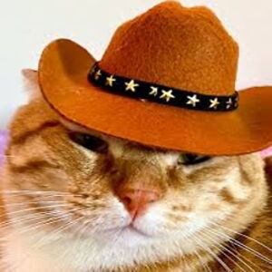 walterscannen avatar