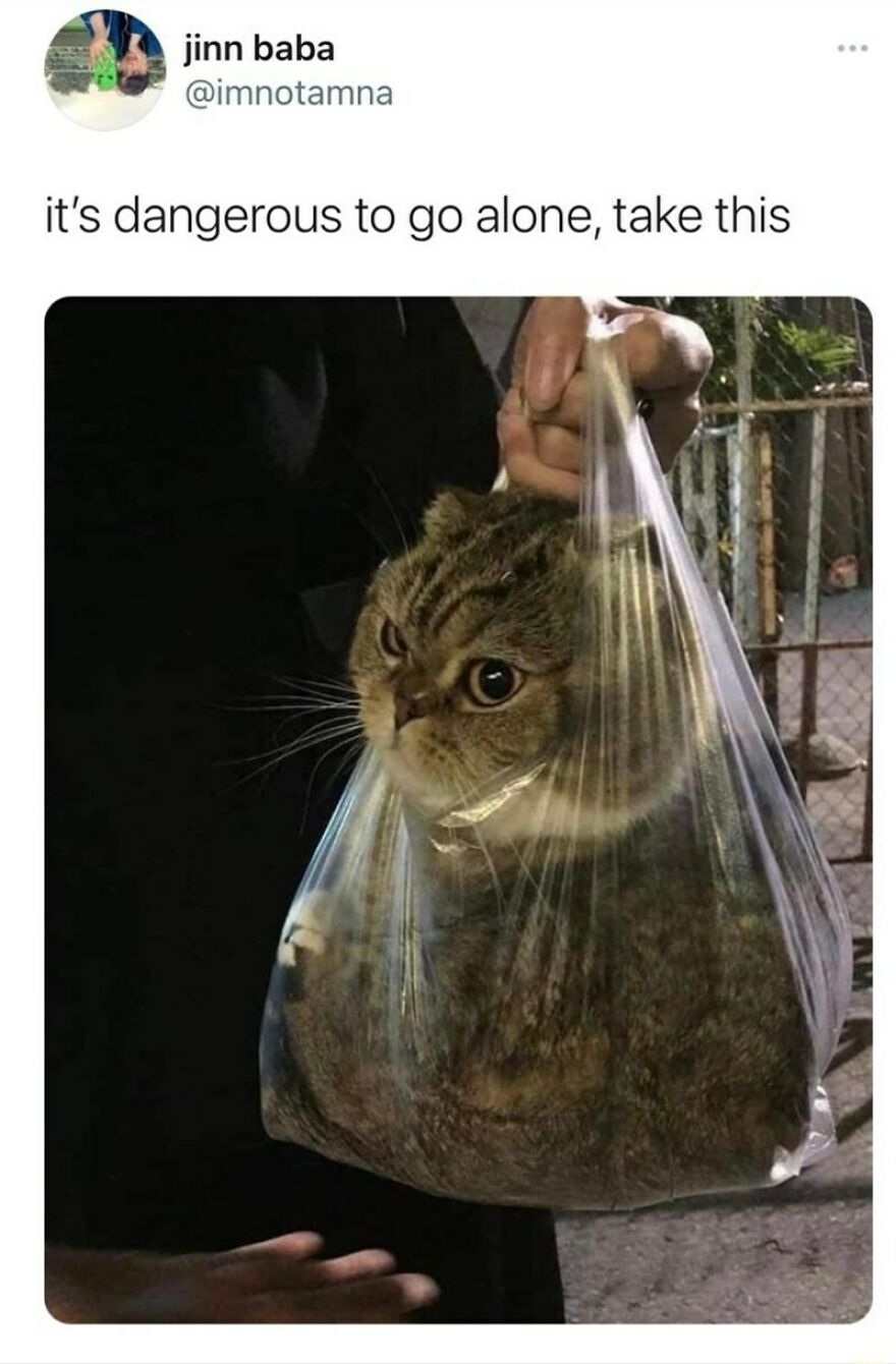 5 Most Random Memes Possible