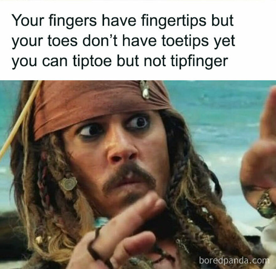 5 Most Random Memes Possible