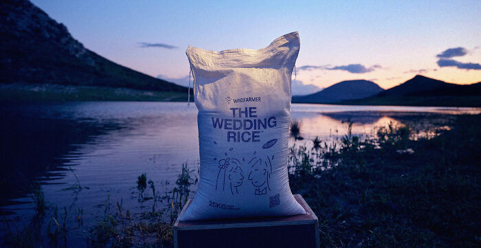 The Wedding Rice The Wedding Rice