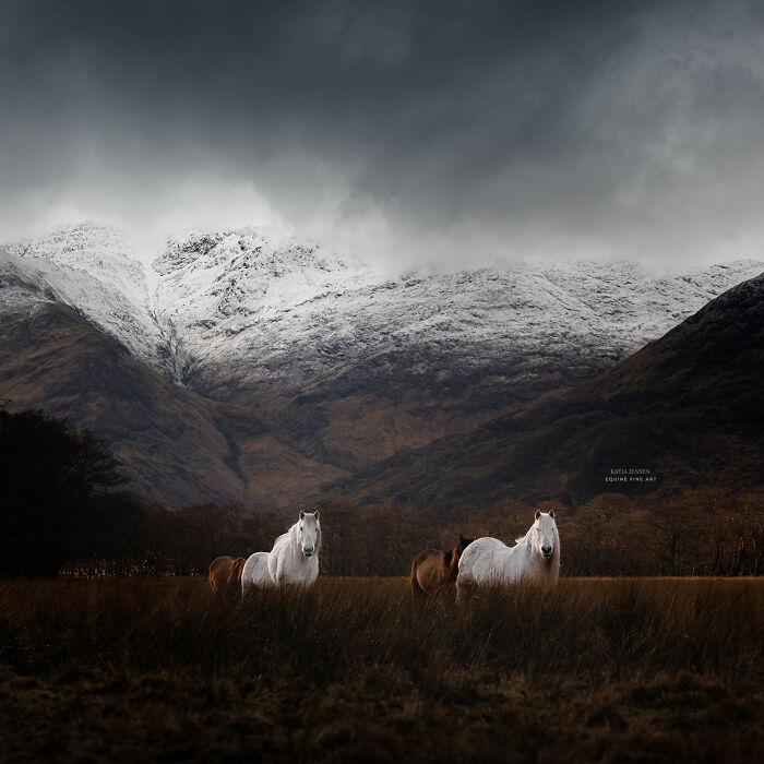 "Conquering The Cold"