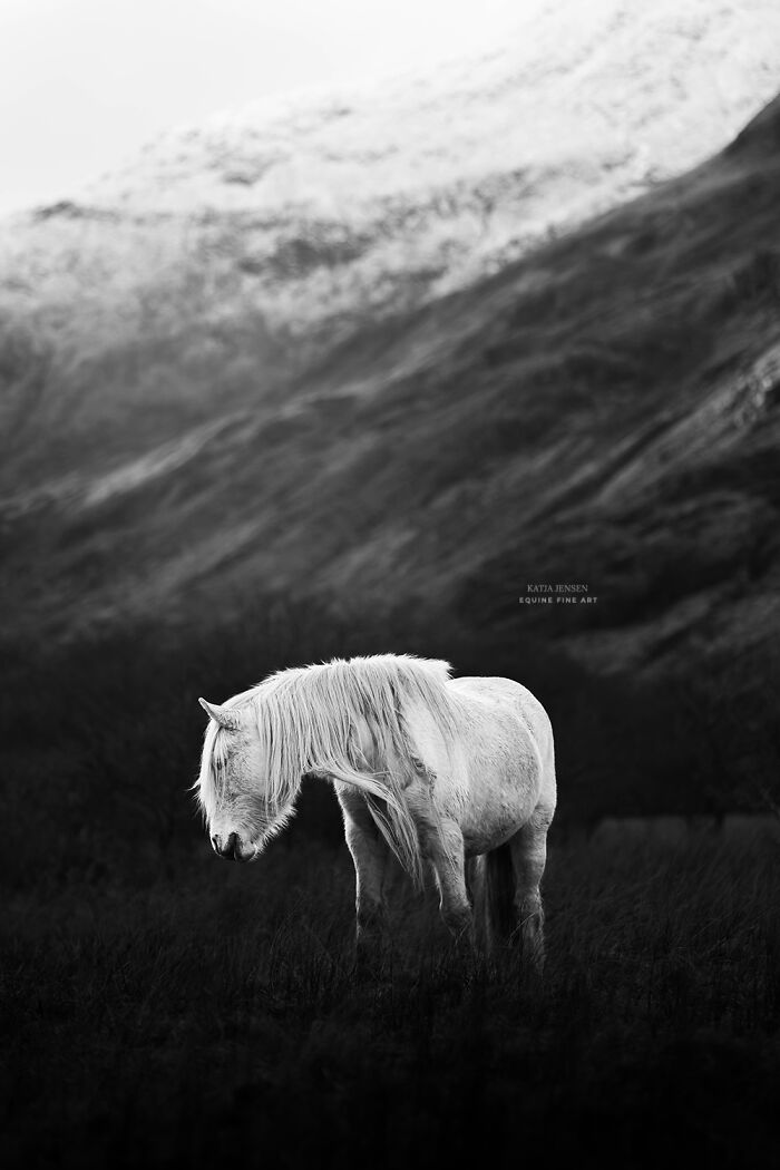 "Whispers In The Wind"