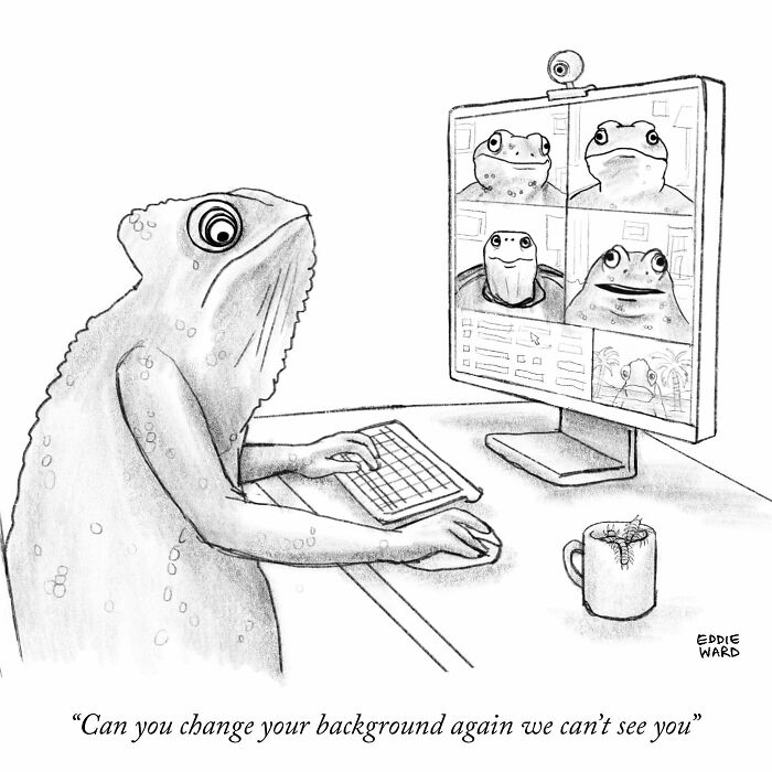Frog in a virtual meeting, confused by background, with Eddie Ward's comic style.