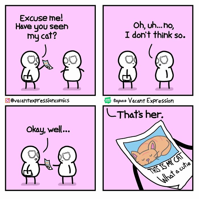 Artist's comic with a sarcastic twist, featuring a mistaken identity and a missing cat.