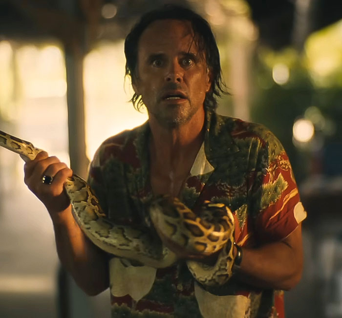 Man in a colorful shirt holding a snake, looking surprised, in a dimly lit setting; bulge photoshoot context. Man in a colorful shirt holding a snake, looking surprised, in a dimly lit setting; bulge photoshoot context.