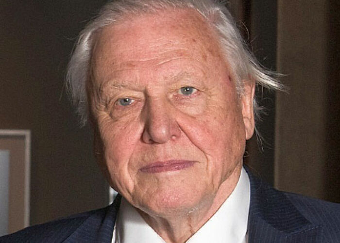 30 Celebrity Encounters That Proved Some Stars Are Just Really Good People