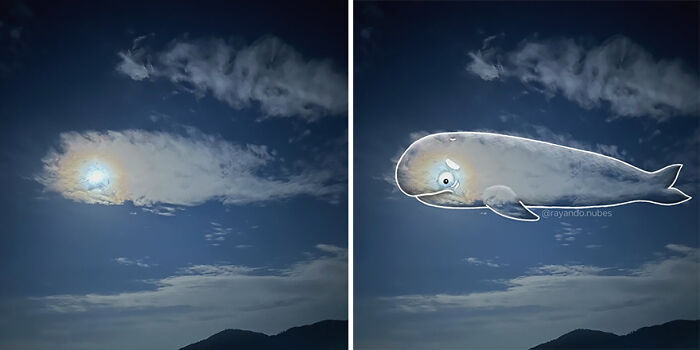Fun cloud illustration depicting a whale in the sky, enhancing the natural cloud formation creatively.