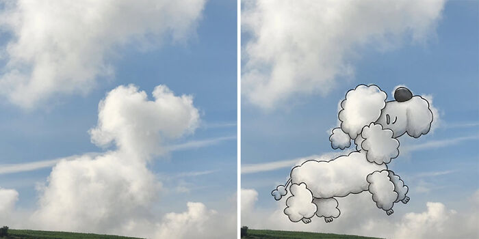 Cloud illustrations showing a poodle drawn into a fluffy cloud against a blue sky.