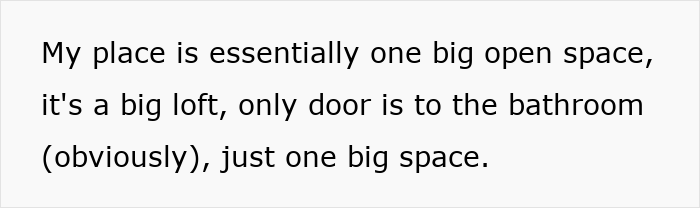 Text describing a loft with one big open space and only a bathroom door. Text describing a loft with one big open space and only a bathroom door.