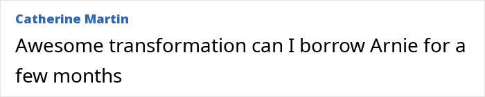 Screenshot of a comment praising an impressive weight loss transformation, mentioning Arnie. Screenshot of a comment praising an impressive weight loss transformation, mentioning Arnie.