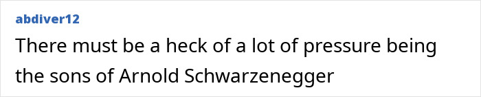 Text comment about the pressure on Arnold Schwarzenegger’s sons. Text comment about the pressure on Arnold Schwarzenegger’s sons.