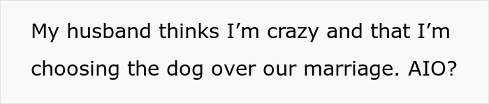 Text expressing a spouse's belief about prioritizing a dog over marriage, highlighting relationship and behavior conflict. Text expressing a spouse's belief about prioritizing a dog over marriage, highlighting relationship and behavior conflict.
