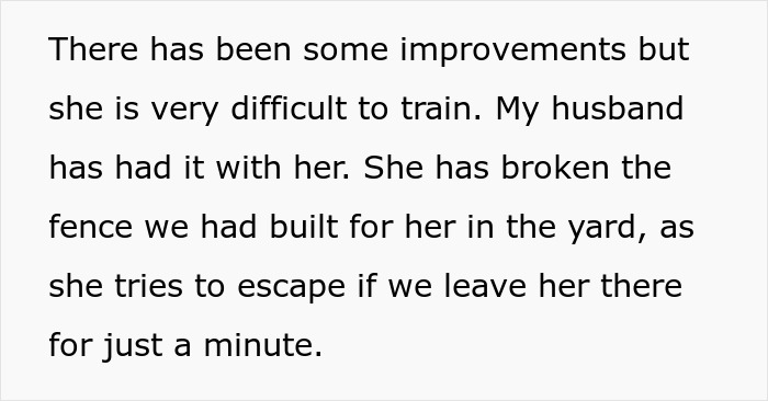 Text describing a difficult-to-train rescue dog causing tension for a couple. Text describing a difficult-to-train rescue dog causing tension for a couple.
