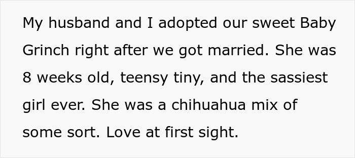 Text about adopting a Chihuahua mix puppy, named Baby Grinch, by a couple right after their marriage. Text about adopting a Chihuahua mix puppy, named Baby Grinch, by a couple right after their marriage.