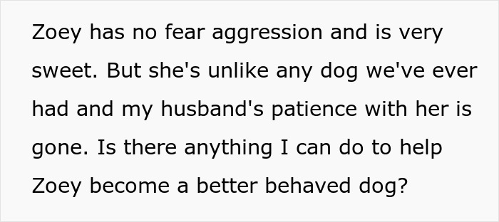 Text discussing an untrainable rescue dog causing stress in a couple's relationship. Text discussing an untrainable rescue dog causing stress in a couple's relationship.