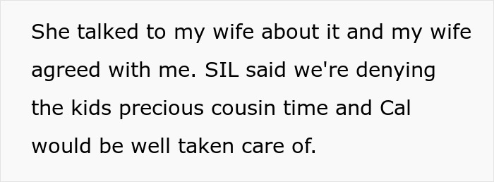 Text discussing SIL's disregard for 7-year-old nephew's allergies, insisting cousin time despite concerns. Text discussing SIL's disregard for 7-year-old nephew's allergies, insisting cousin time despite concerns.