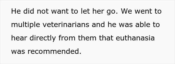 A woman's perspective on euthanasia for a dying pet, while her husband hopes for recovery. A woman's perspective on euthanasia for a dying pet, while her husband hopes for recovery.
