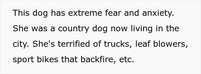 Text highlights an untrainable rescue dog's extreme anxiety and fear in a city environment. Text highlights an untrainable rescue dog's extreme anxiety and fear in a city environment.