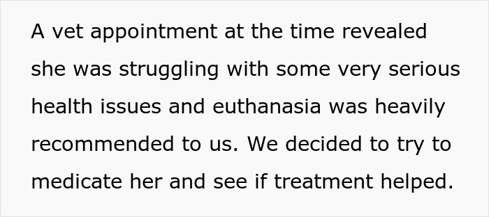 Text discussing a vet appointment recommending euthanasia due to severe health issues in a dog. Text discussing a vet appointment recommending euthanasia due to severe health issues in a dog.