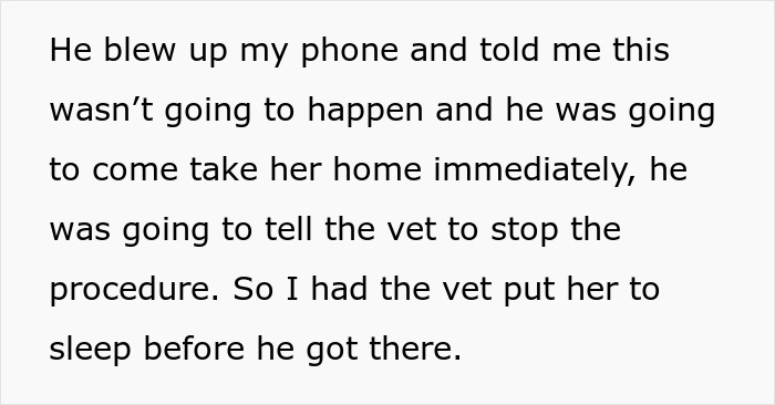 Text message about a woman ending a dog's suffering at the vet, while the husband opposes the decision. Text message about a woman ending a dog's suffering at the vet, while the husband opposes the decision.