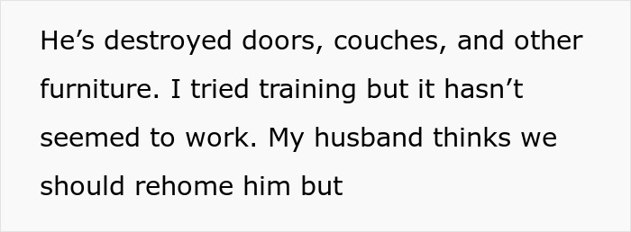 Text discussing spouse disagreement over adopted dog's destructive behavior and training challenges. Text discussing spouse disagreement over adopted dog's destructive behavior and training challenges.