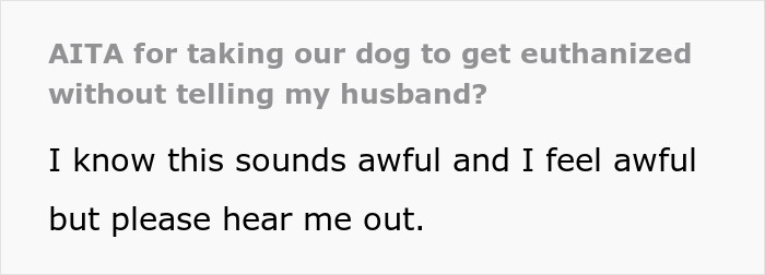 Text message about euthanizing a dog without husband's knowledge, discussing emotional distress and decision-making. Text message about euthanizing a dog without husband's knowledge, discussing emotional distress and decision-making.
