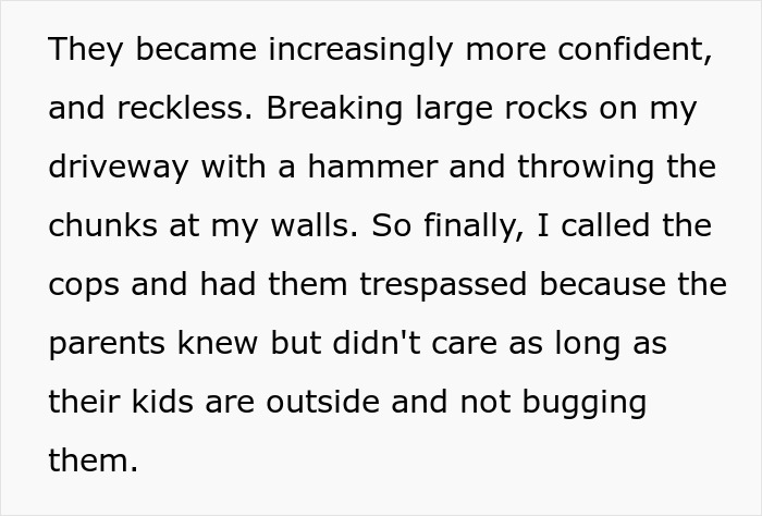Text excerpt discussing reckless children causing damage, with no visible image of a woman or swing set, related to woman buying swing set. Text excerpt discussing reckless children causing damage, with no visible image of a woman or swing set, related to woman buying swing set.