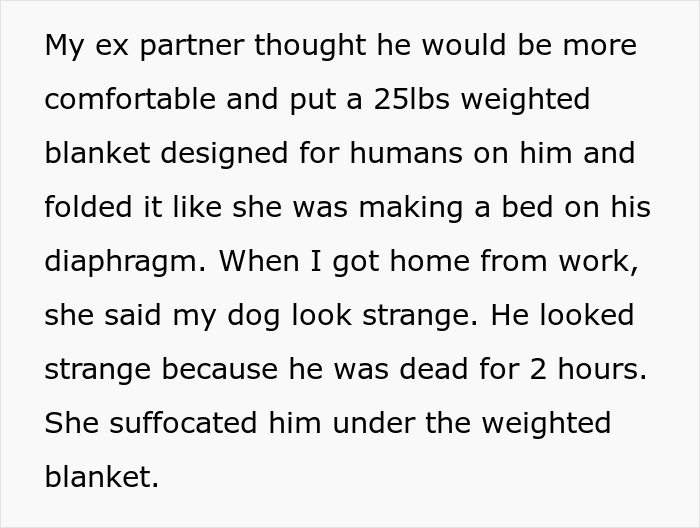 Text recounting incident with dog, weighted blanket, and emotional aftermath. Text recounting incident with dog, weighted blanket, and emotional aftermath.