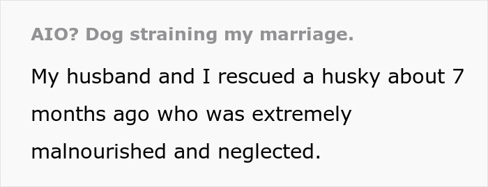 Text discussing spouse's spat over adopted husky's behavior, impacting their relationship. Text discussing spouse's spat over adopted husky's behavior, impacting their relationship.