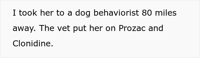 Text from image about a couple struggling with their untrainable rescue dog’s care. Text from image about a couple struggling with their untrainable rescue dog’s care.