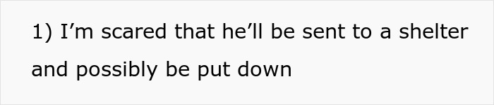 Text expressing fear of adopted dog being sent to shelter and put down. Text expressing fear of adopted dog being sent to shelter and put down.