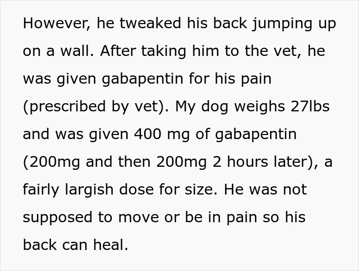 Text detailing dog's back injury, gabapentin prescription, and care instructions for healing. Text detailing dog's back injury, gabapentin prescription, and care instructions for healing.