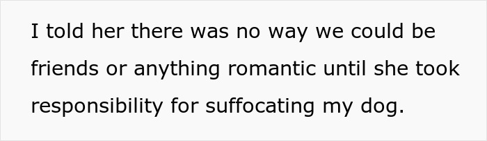 Text about a dog injured by a weighted blanket, discussing forgiveness and responsibility. Text about a dog injured by a weighted blanket, discussing forgiveness and responsibility.
